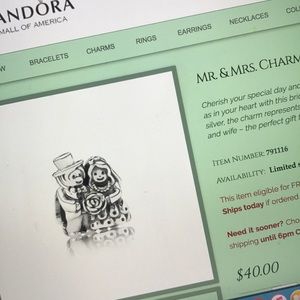 Pandora Mr. & Mrs. charm